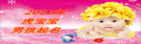 2022年男宝宝取名字