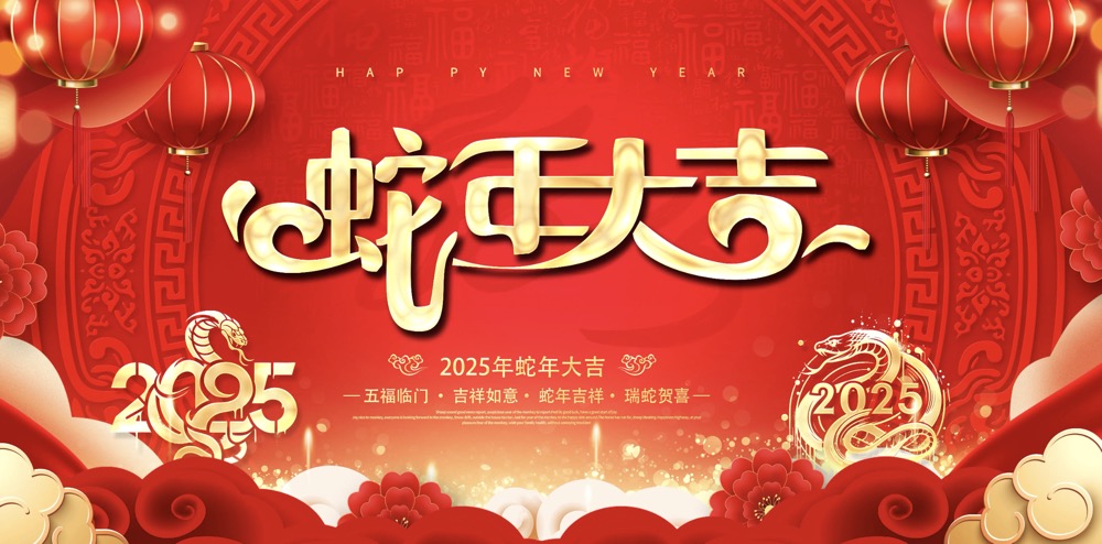2025乙巳蛇年流年大运